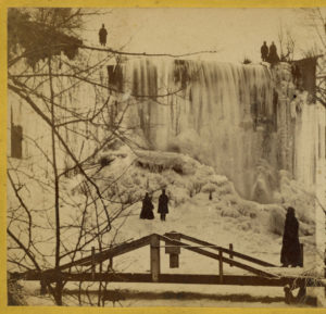 Winter visitors to Minnehaha