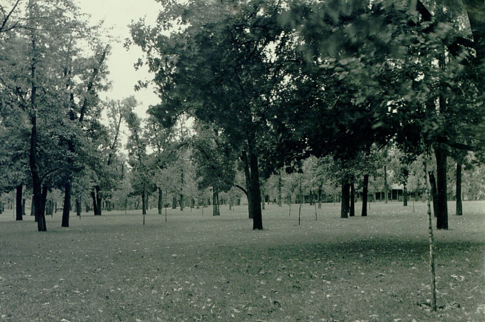The original caption for this picture read: "Picnic grove at Minnehaha Falls - resurfaced and sodded by W.P.A.