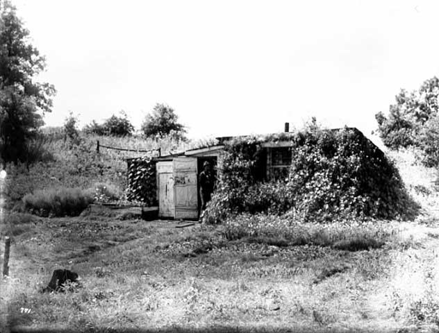 The sod house lived in by William Herrick. This picture was taken by Arus S. Williams.